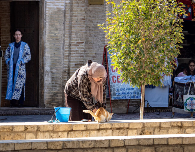 Bukhara, Uzbekistan (2024)